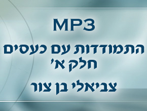 יסודות הכעס;סכנה ושמה איבוד שליטה;השלב המעשי;כוחו של ויתור