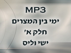 י''ז בתמוז התסמין והבעיה;הדבורה והעקרב;קלקול ותיקון;למי הארץ?;ונושנתם בארץ;כל רודפי – יה;נצחיותו של העם היהודי;שחוקו של ר` עקיבא;נצחיות הכותל;כל המתאבל על ירושלים;הקשר הנצחי בין ישראל לאדום;הזורעים בדמעה ברינה יקצורו;חכמת ישראל בין העמים;ערב ט` באב